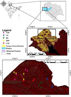 Biodiversity conservation and carbon storage of Acacia catechu willd. Dominated northern tropical dry deciduous forest ecosystems in north-western Himalaya: Implications of different forest management regimes